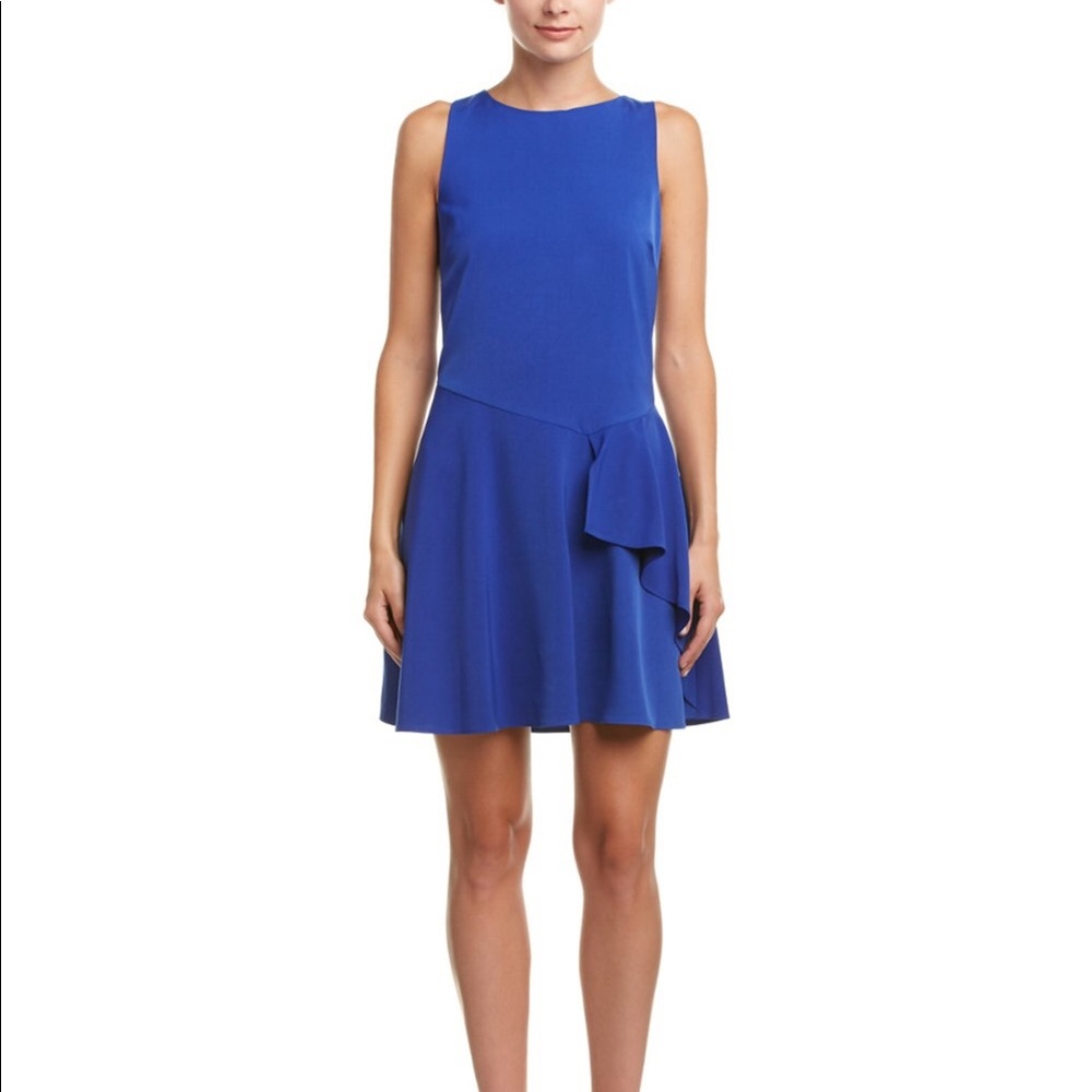 Susan Monaco Blue A-Line Dress